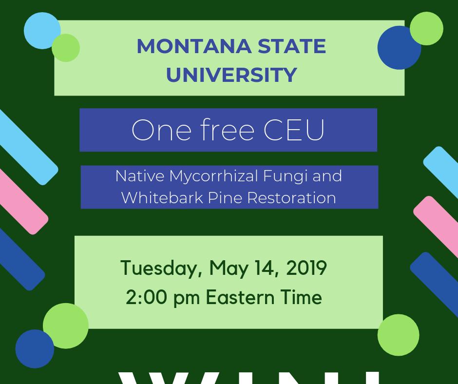 ISA Ontario (@isaontario) on Twitter photo 