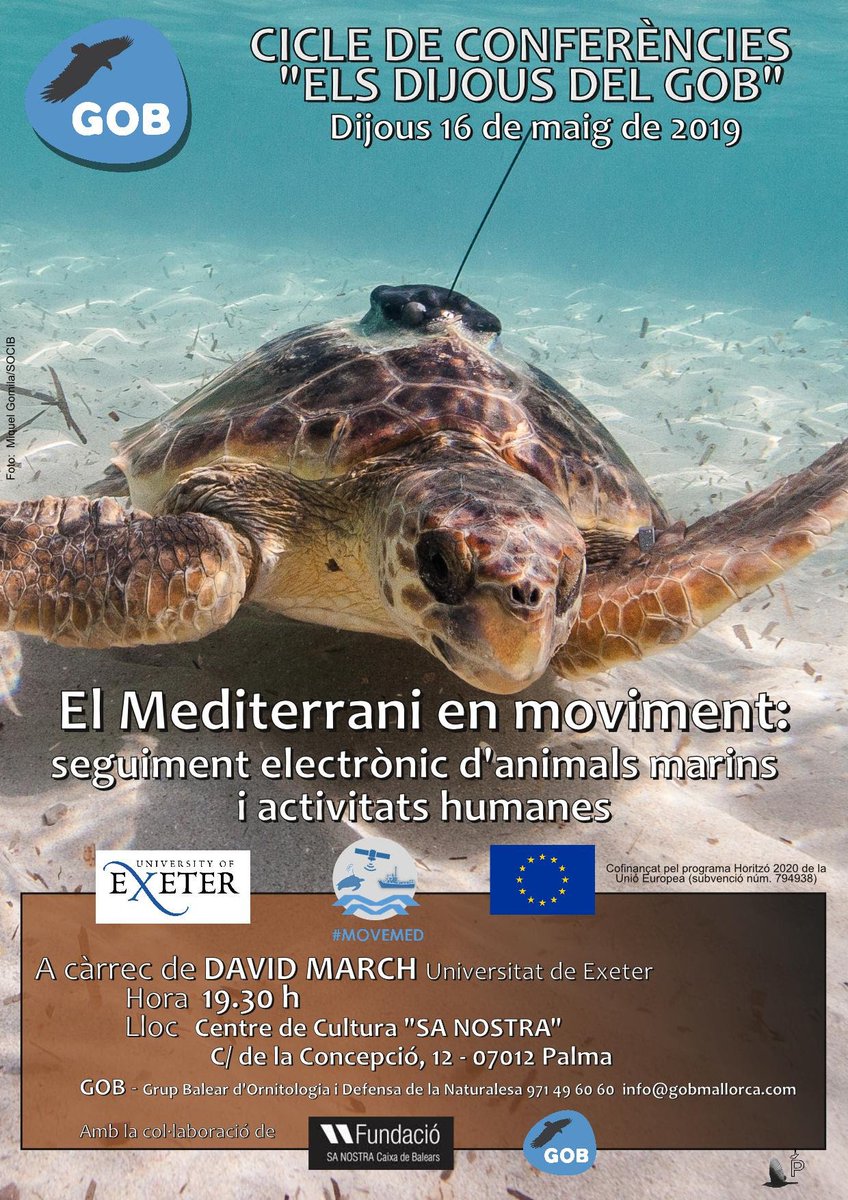 Trobaves a faltar "Els dijous del GOB"? Aquesta setmana tornen amb:

🗣️ "El #Mediterrani en moviment: seguiment electrònic d' #animals marins i activitats humanes".  

⏰ Dijous 16 de Maig, 19:30h. 

📍 Al Centre de Cultura "Sa Nostra", #Palma.