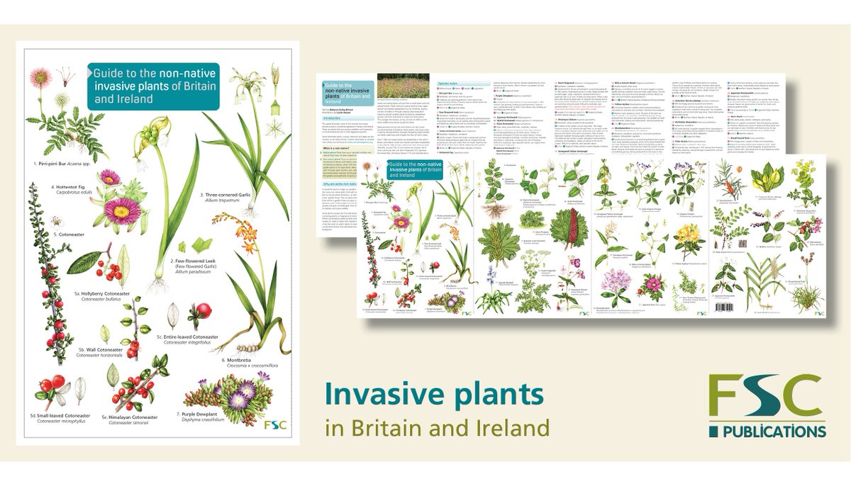 Plant Species Chart