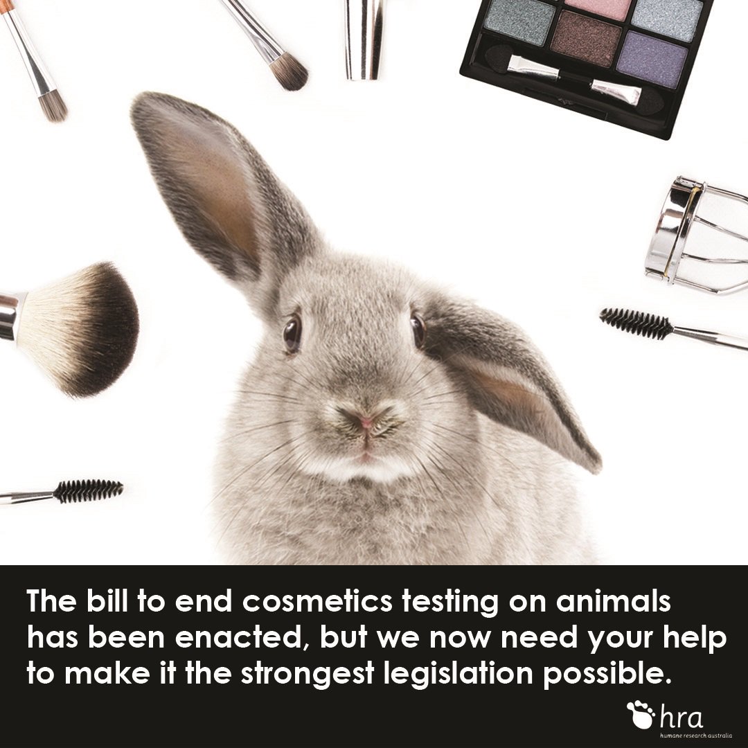 AnimalFreeSci's tweet photo. Reminder... you have till the end of this week to get your submission in!
https://t.co/FZ7vId43lk https://t.co/z5ZZJZxEiY