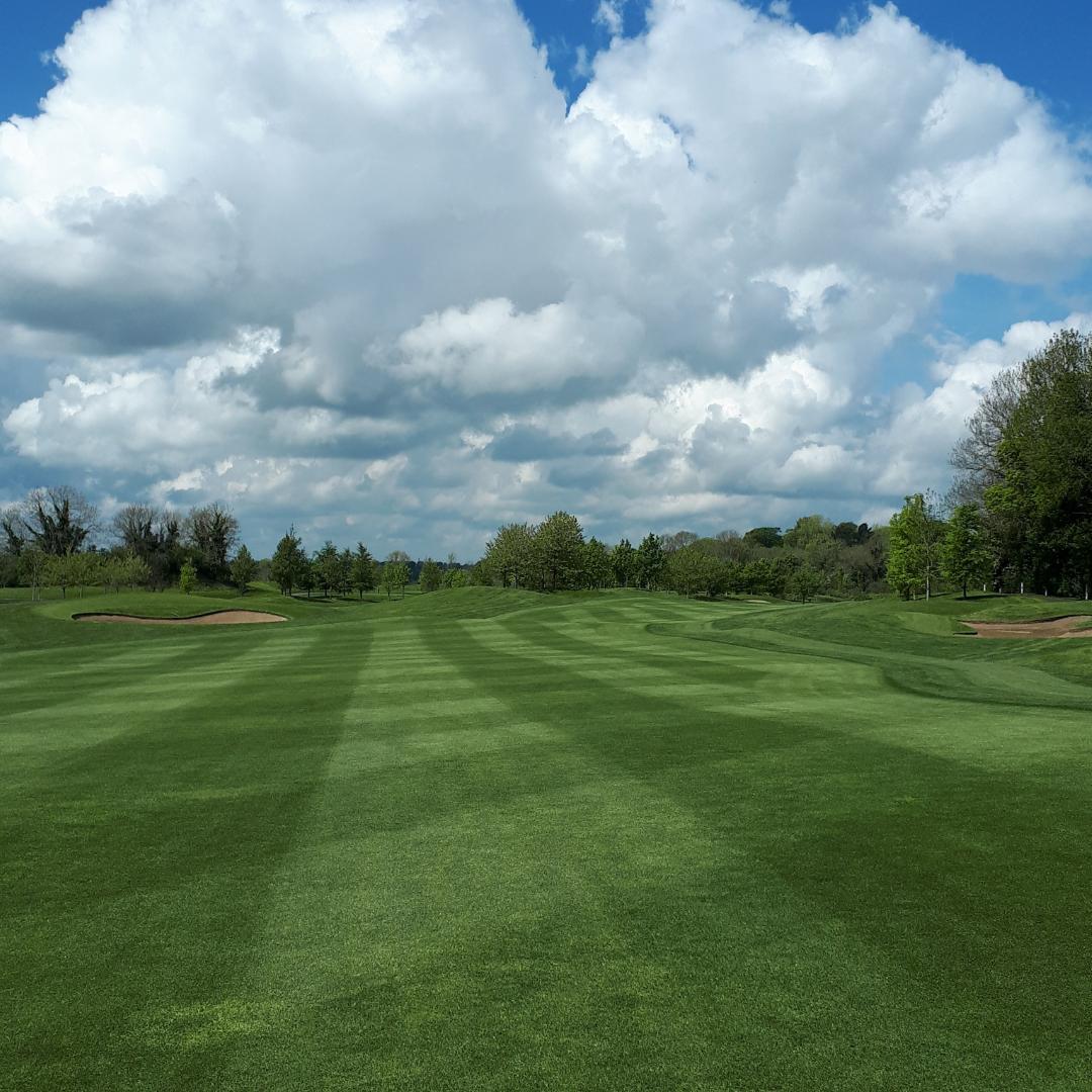 Our stripes are really starting to come through AND the sun is shining with Dublin temperatures set between 17° and 18°. Come down and play a round in this glorious weather 🏌️ ☀️ #summer #weather #golfweather #golfer #castleknock