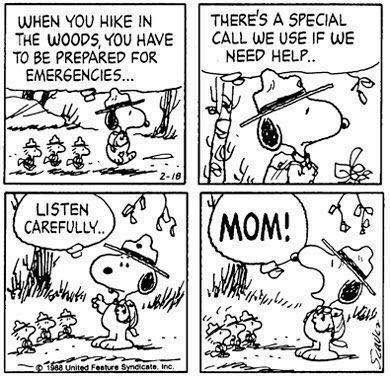 TheGoosesCache's tweet image. 