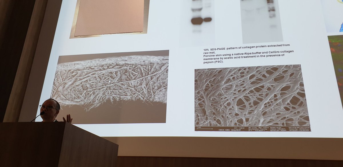 NikBappoo's tweet image. SOLD OUT event Innovation in Medicine in the @CityofPerth underway @PerkinsComms with some amazing speakers! @CurveTomorrow @OrthocellLtd @OncoResMedical @LinearClinical @vasclab_uwa @acceleratingaus @CERINOV8 @WiseRealities @EngAustralia