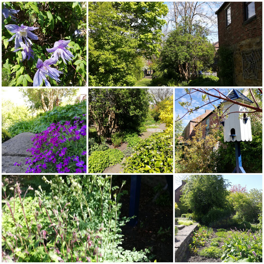 So tranquil in the Millennium Green Garden today, it a little pocket of peace hidden behind Morpeth's Newgate Street.
picsart.app.link/MbTGQy1DEW