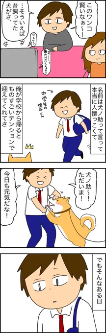 迷い込んでたのを保護されたらしい。無事でよかったけどマジ草。 