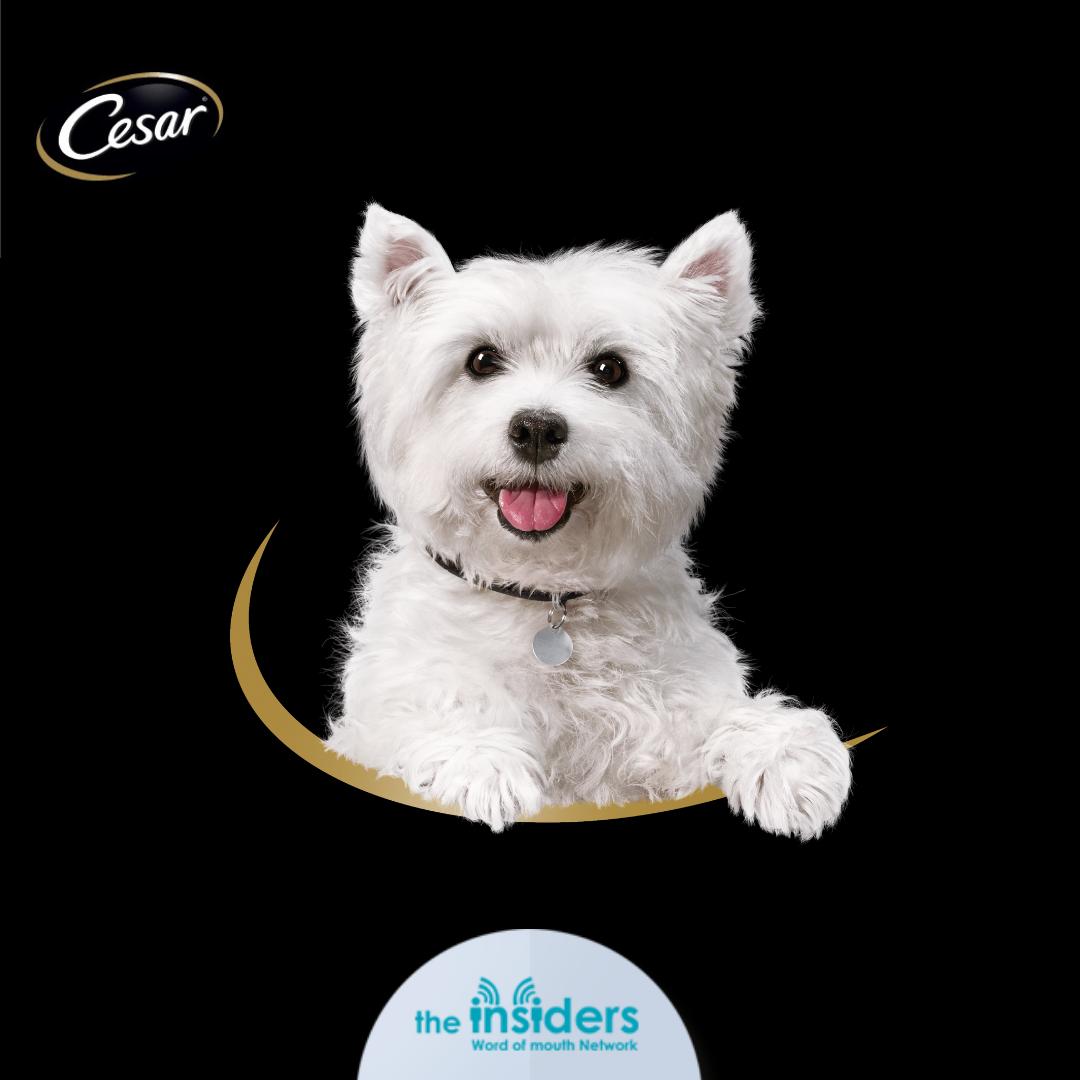 Ti sei già iscritto alla campagna Cesar? Fai in fretta, c'è tempo solo fino a domani! 
Ti aspettiamo bit.ly/2LsNH00