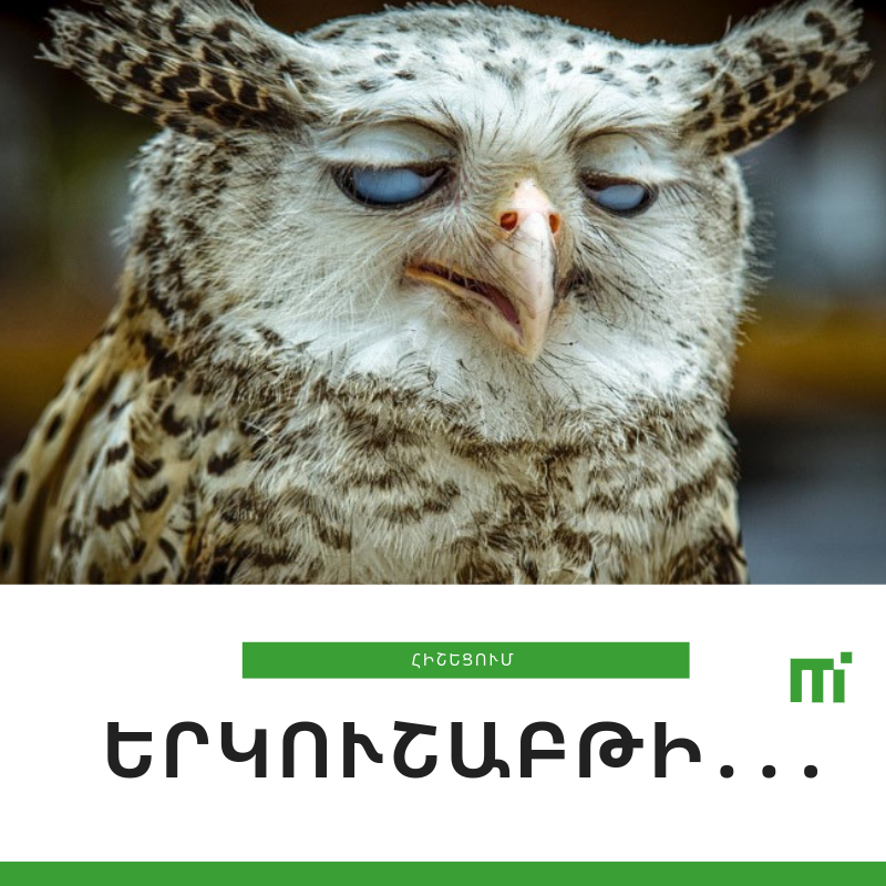 MegapolisLab's tweet image. Ծիծաղելուց հետո կոդ գրելն արդյունավետ է 😅
mgplab.com