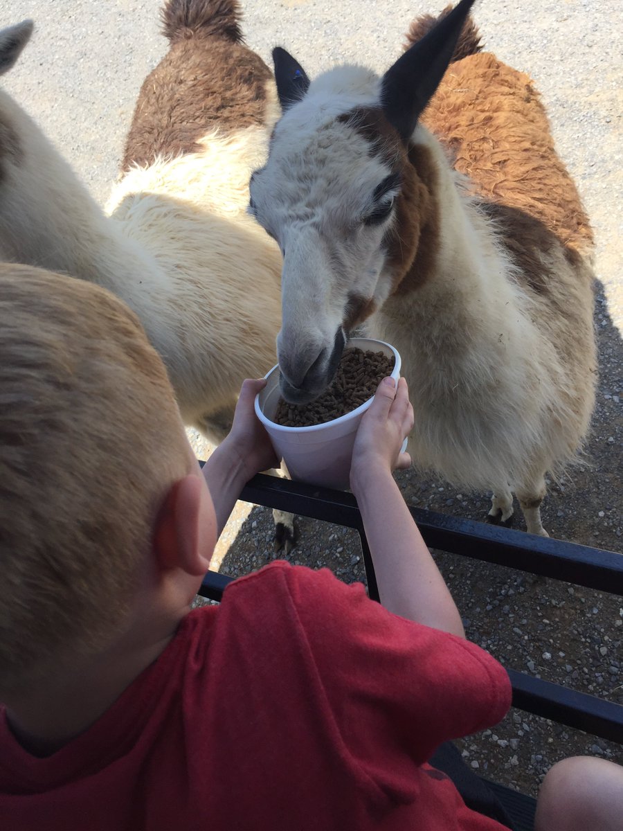 Baker-Butler ES tweet media