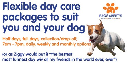 Best day ever!
At Rags &amp; Bert's, your loved one is looked after by caring, qualified professionals, whilst they are having an amazing time with all their friends! 
Call 0118 207 7788 to register for our free 30-minute Play &amp; Stay assessment, or click ragsandberts.co.uk/8/Doggy-Day-Ca…
