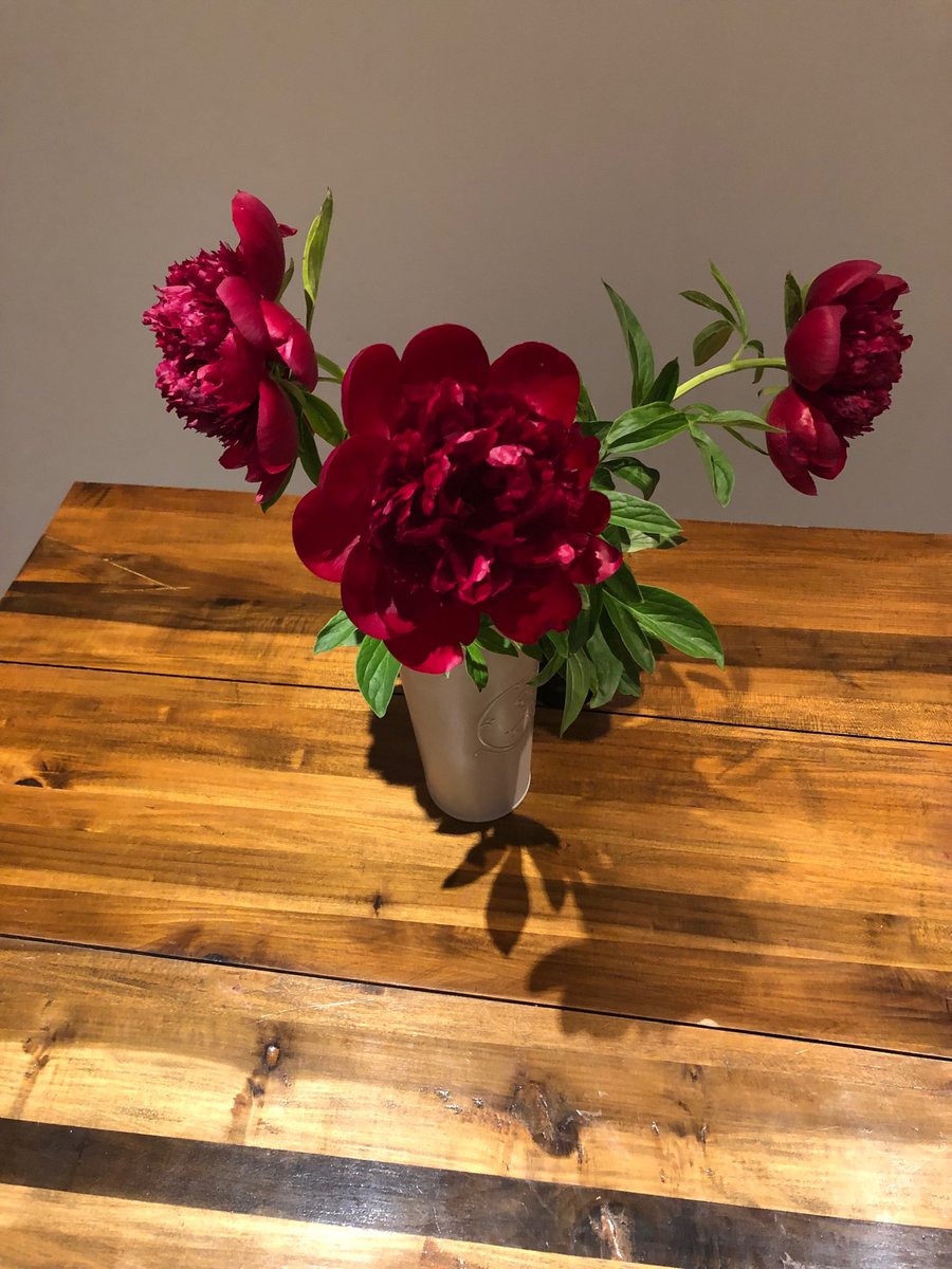 Jennifer Carpenter tweet media