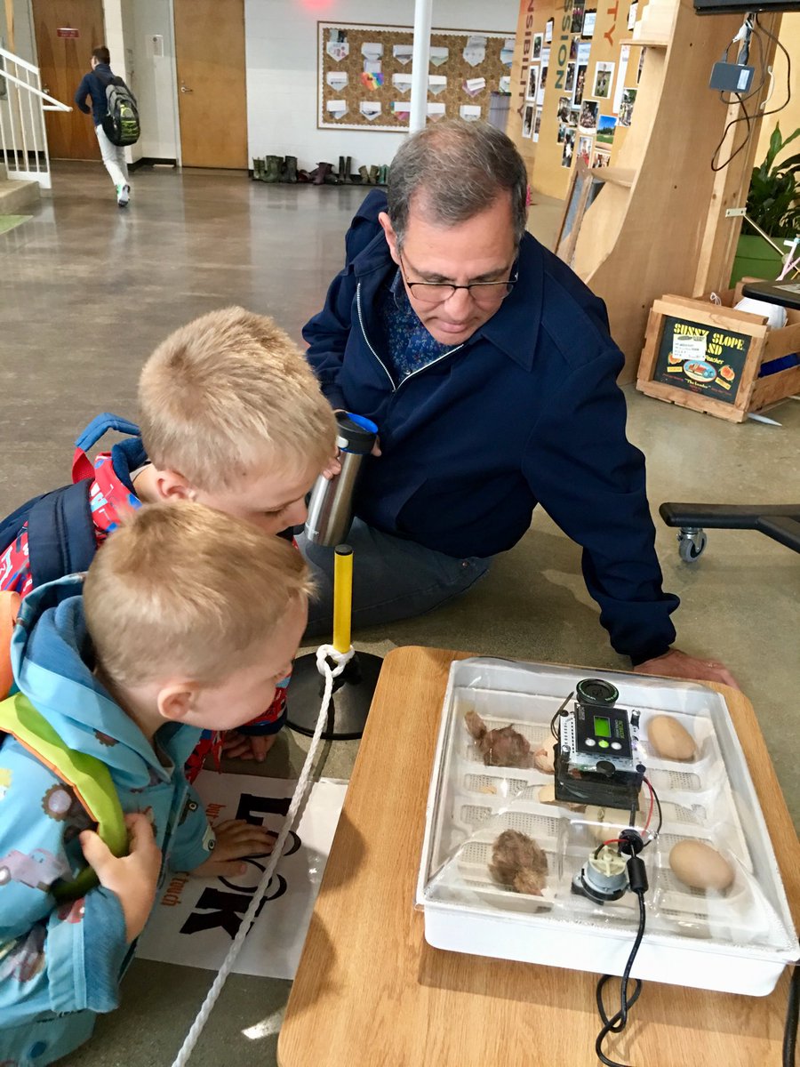 natur_xperience's tweet image. Our ⁦@CountryDay⁩ chicks are hatching in Niehoff Commons!! 🐣So exciting!! #ccdsgreen #ccdslearning ⁦@jencjensen5⁩