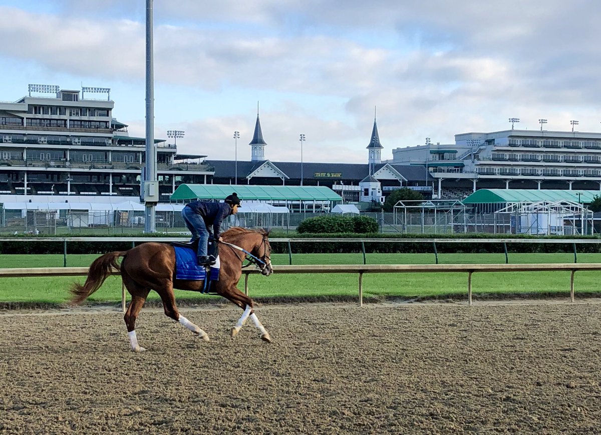 HR_Nation's tweet photo. Steve Asmussen-trained Laughing Fox with a gallop toward the @PreaknessStakes. https://t.co/ydGlyoz5Xl