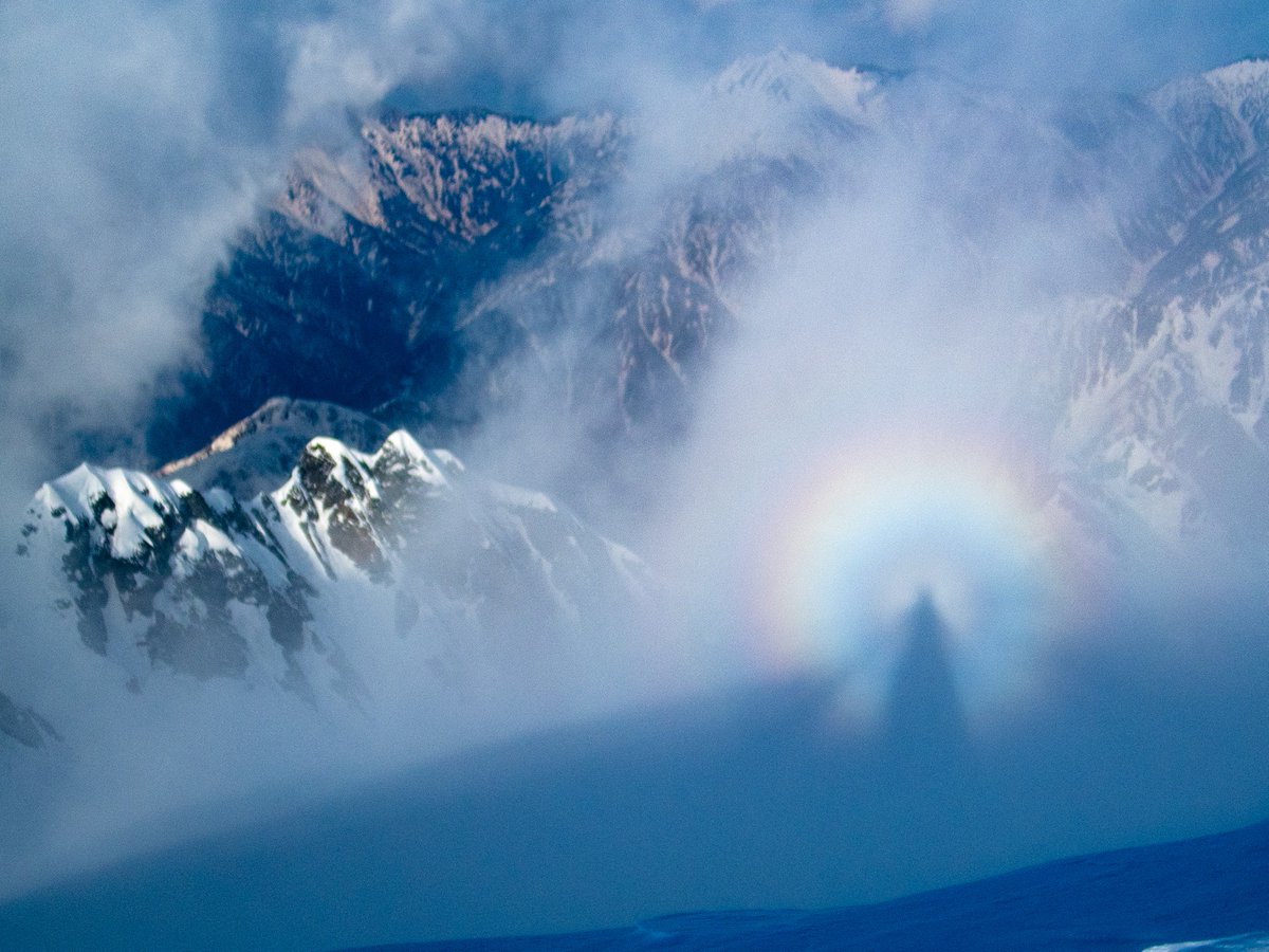 おんでぃ tweet media