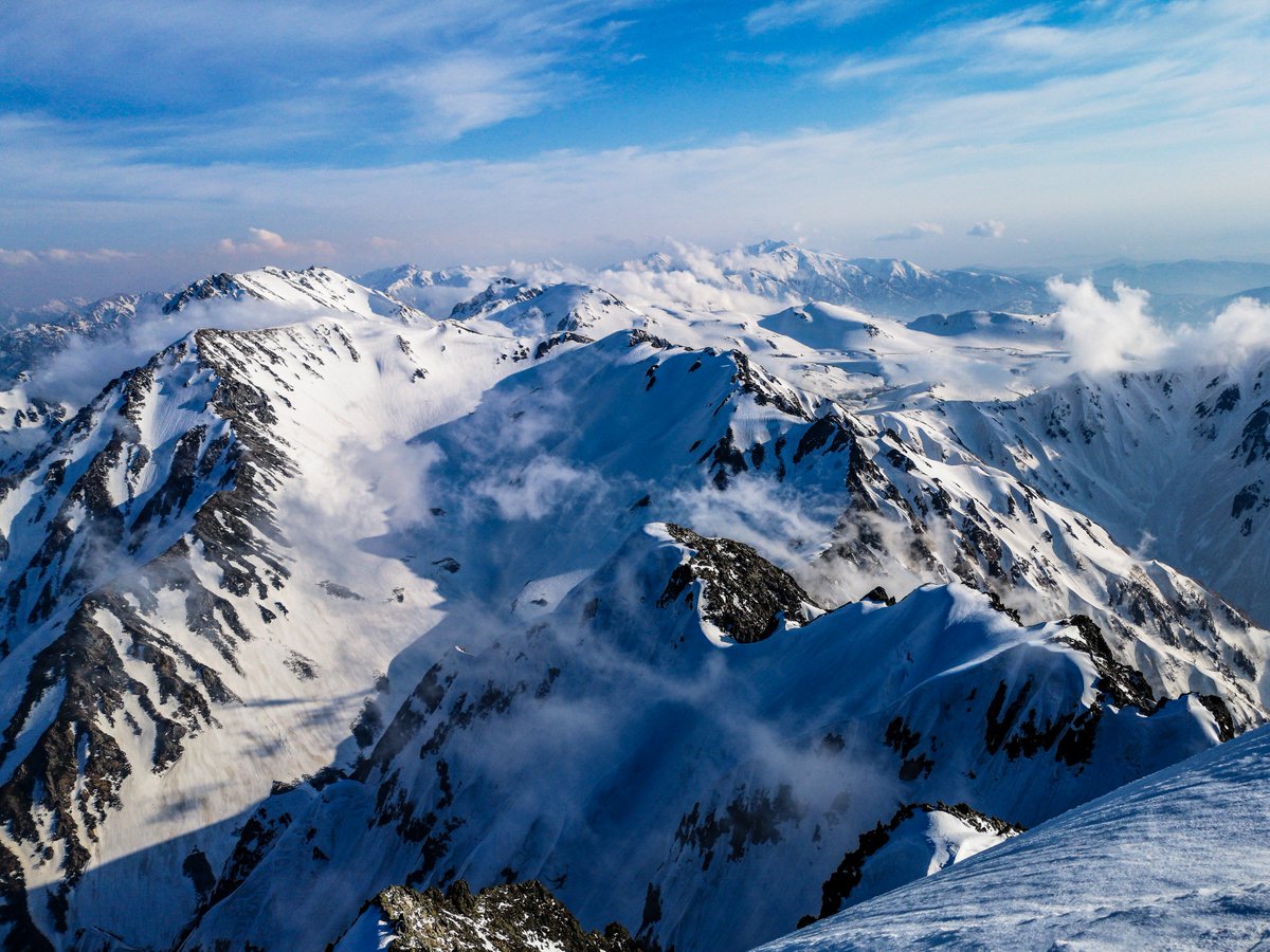 おんでぃ tweet media