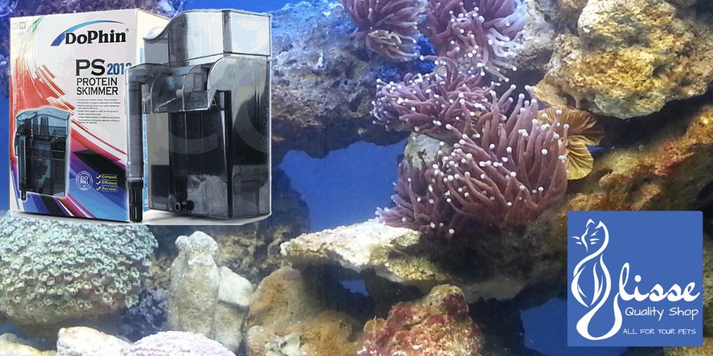 UlisseQualitySh's tweet photo. DoPhin PS 2012, un Filtro Schiumatoio per piccoli acquari marini. Scopri di più.
https://t.co/56X3h3Oh2Z

#ulissequalityshop #acquariofilia #acquariologia #acquariomarino #minireef #aquariumfilter #skimmer https://t.co/DJwNdJzi5p