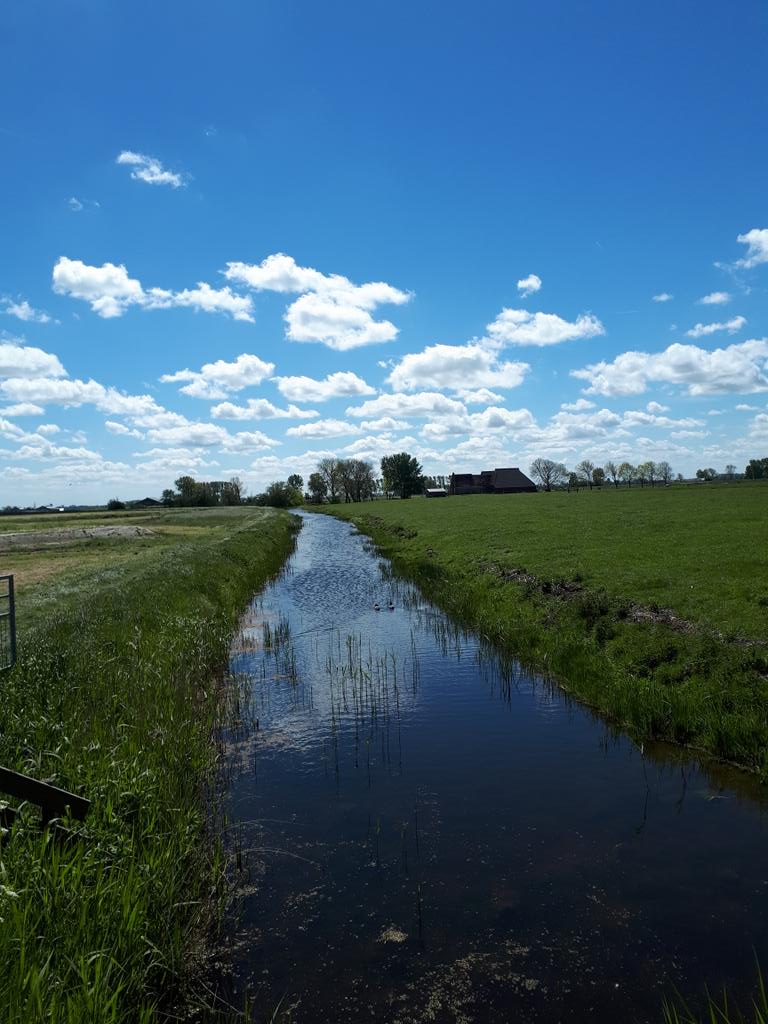 corhpol's tweet photo. Buurtschap #Oldenzijl #Winsum @HetHogeland #Groningen #Nederland met op de voorgrond het #Oldenzijlsterdiepje, dat uitmondt in het #Oudediep en #Winsumerdiep. Rechts boerderij  Oldenzijl en links een gedeelte van #SportlandschapWest. https://t.co/nJzVkkv9A4