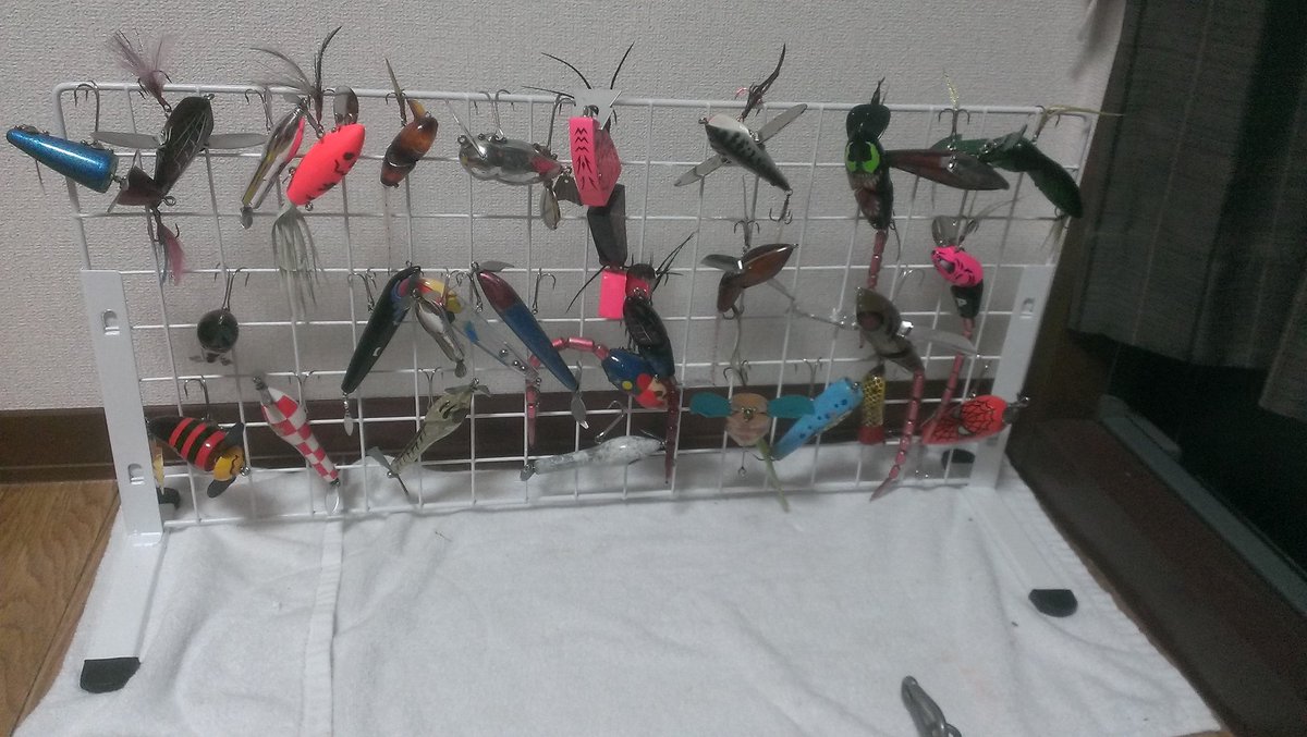 霞大会5月19日 - البحث / X