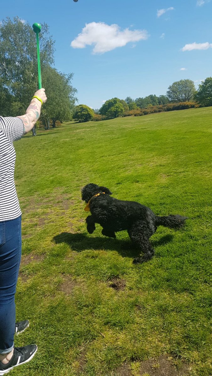 cayjuix1's tweet photo. @PoppyWard16 Beautuifl Otis the PAT dog keeping service users and staff amused with his gentle fun nature  xxx https://t.co/f2ygQ9L7Gl