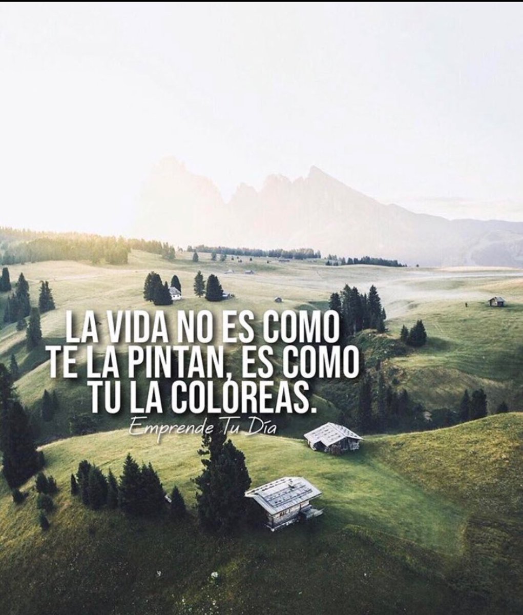 LoroHomero's tweet photo. Buenos días Quito!! https://t.co/rhAGFTocYP