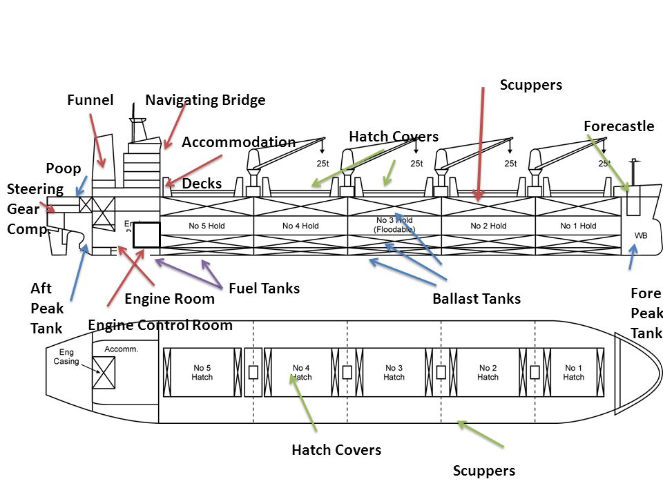 Robert Young Pelton on X: The Aft Peak Tank is typically a ballast tank  not a storage tank for oil. So if someone was to put a hole in that tank  it