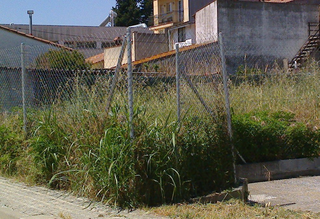 ajsantceloni's tweet photo. Recordem  a totes les persones propietàries de solars sense edificar que cal mantenir les parcel·les netes. La manca de manteniment comporta una important proliferació de vegetació, suposa un risc notable d'incendi i perill per al veïnat i per a l'entorn. Moltes gràcies! 👍👍 https://t.co/FZwFOesZTw