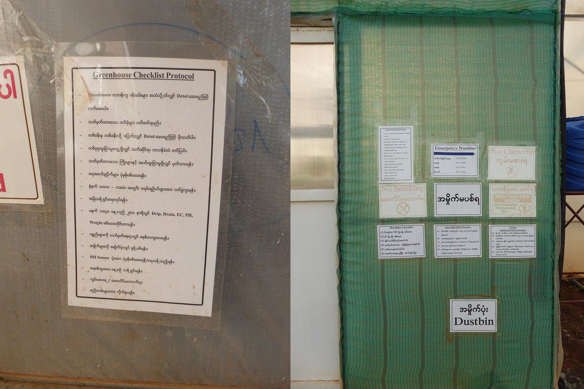 Larivegroup's tweet photo. GLOBALG.A.P. certification for demonstration greenhouse in Myanmar https://t.co/wPAUHOettN https://t.co/v6XdDYI8dt