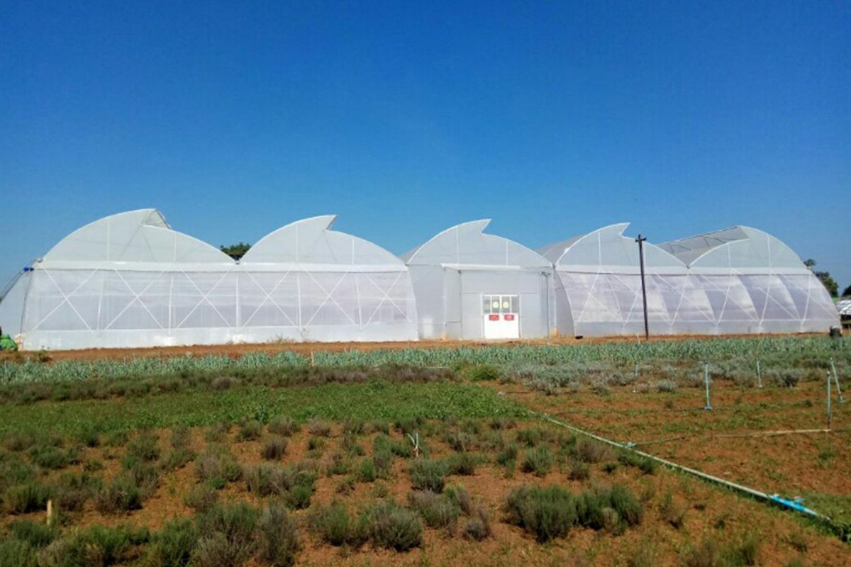 Larivegroup's tweet photo. GLOBALG.A.P. certification for demonstration greenhouse in Myanmar https://t.co/wPAUHOettN https://t.co/v6XdDYI8dt
