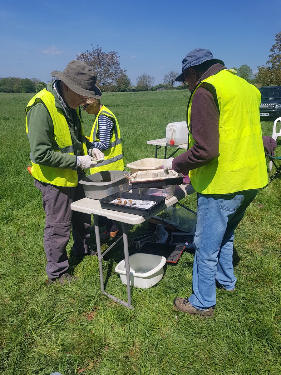 ZoeTomlinson2's tweet photo. We are back for more fun in the sun. #har19 #community #Archaeology https://t.co/ZZeiQ9sbjj