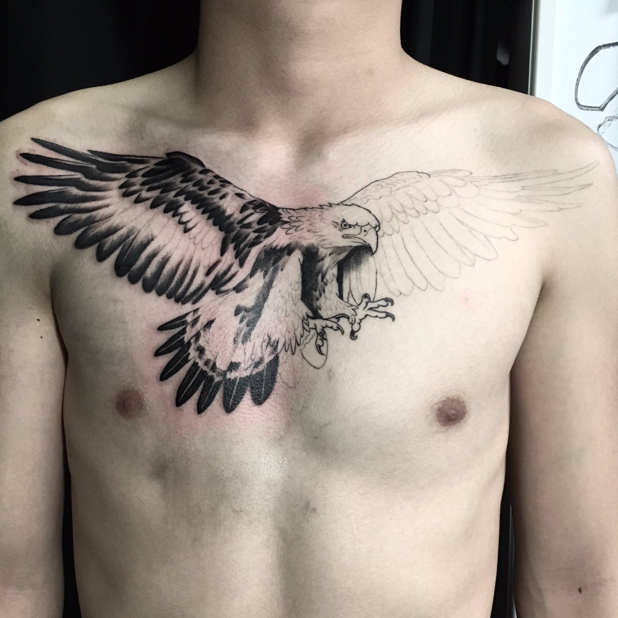 #Tattoo #タトゥー#刺青 銭蛙-ゼニガエル- #刺青#tattoo#tommyguntattoo#十三銃刺青