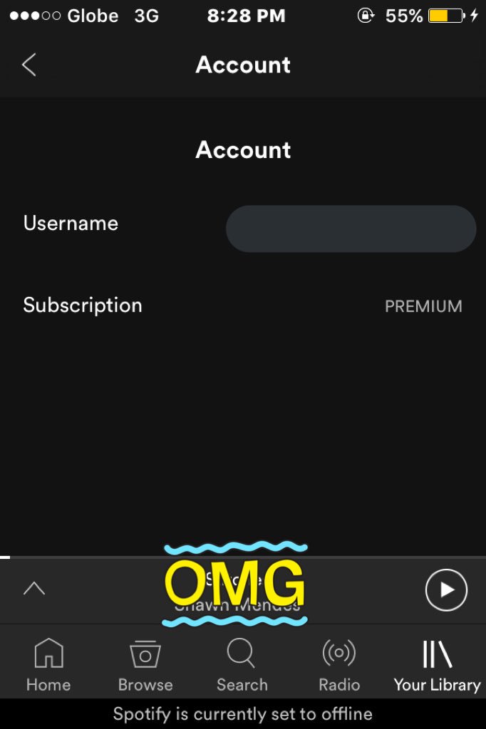 Netflix and spotify reseller tweet media