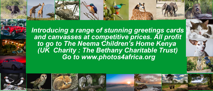 Our concert  (Haslefolk )raised £800 for the Neema Children's Home Kenya. We sold lots of canvasses and greetings cards too. Great value , see their website photos4africa.org