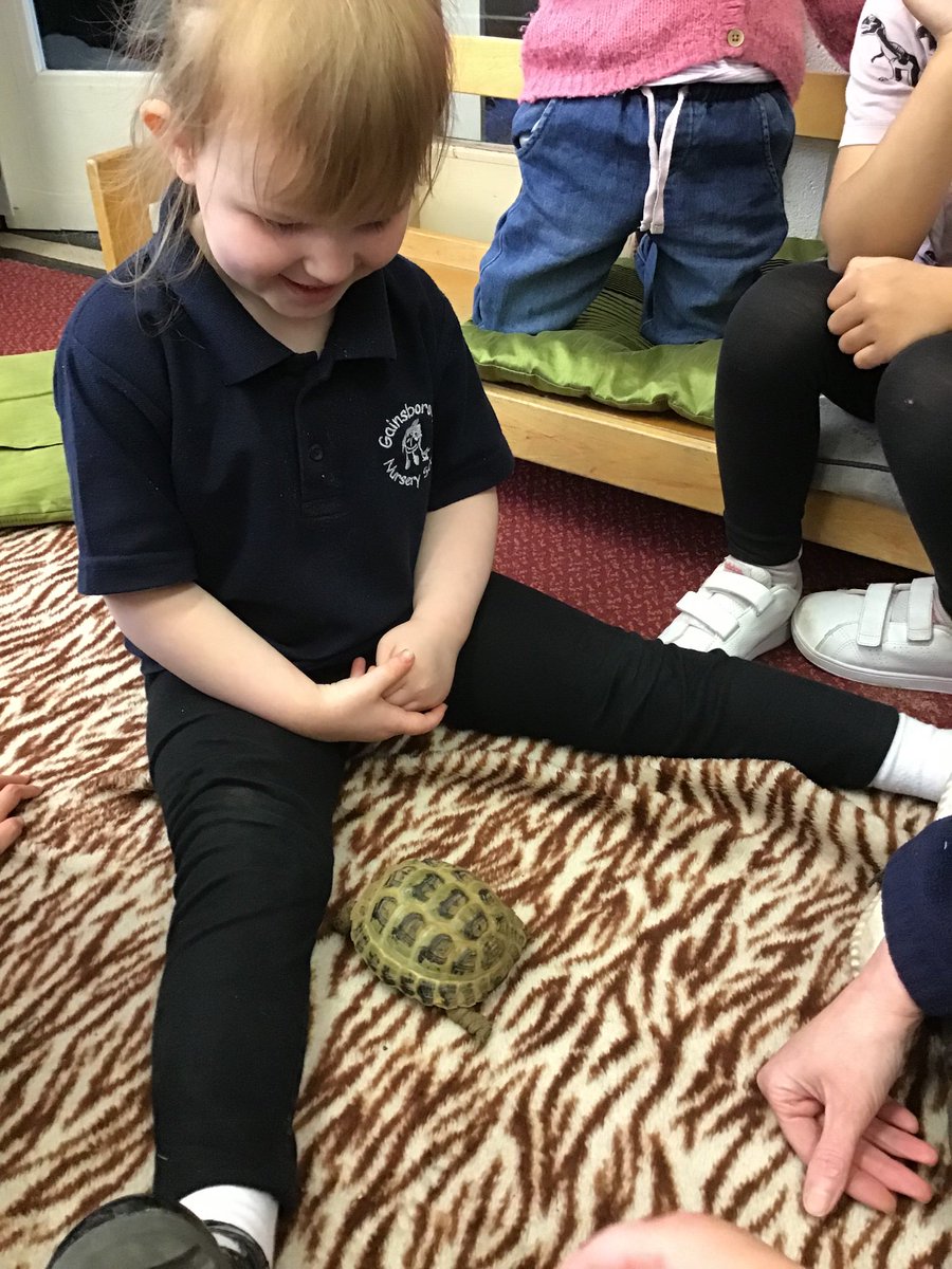 Today we had a very interesting visitor to School. Diane brought in her pet Tortoise! The children have been thinking of lots of questions to ask Diane about her pet.