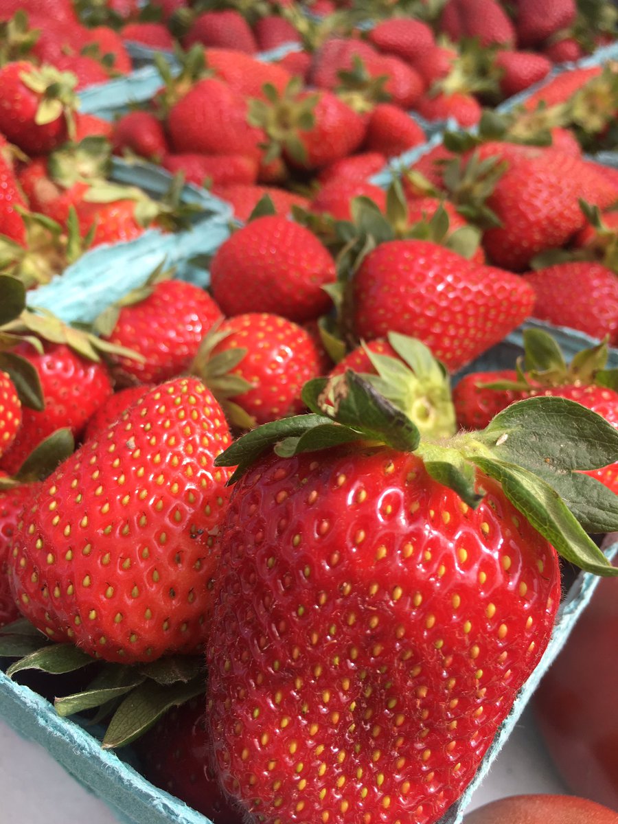 OnslowCoFarmer's tweet photo. Onslow County’s original Farmers Market! We’ve been providing the community with local produce, honey, eggs, pasture raised meat, homemade baked goods and handmade artisan products for over 20 years!  #OnslowCounty #MarketLife https://t.co/sC0h0nlwj4