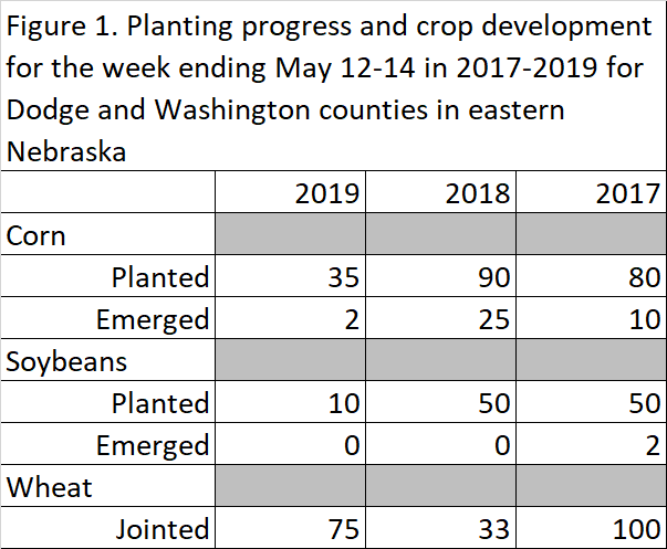My estimates of planting progress & crop development for Dodge and Washington counties in eastern Nebraska for the middle of May for 2017-2019.  Slow 2019 from wet October, March flood, and mostly light but frequent spring showers. #plant19 #grow19
