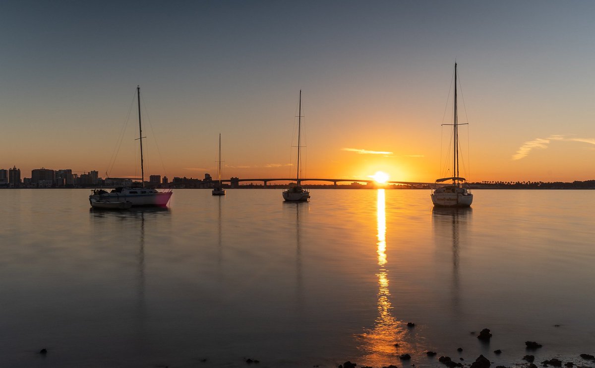 VISIT FLORIDA tweet media