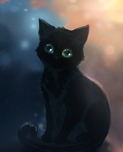 Anime with black cat
