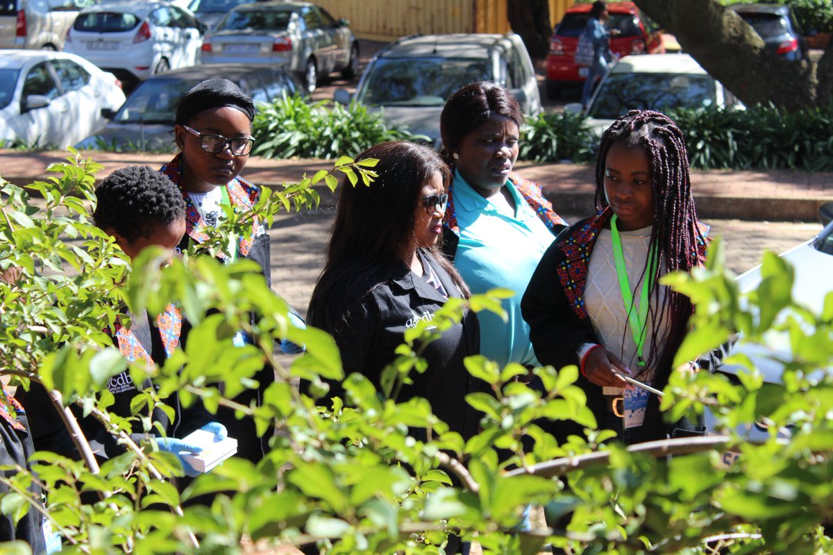acdblab's tweet photo. @acdblab giving a training course on @LifeScanApp to @environmentza officials.
Species identification has never been easier. #LifeScanner https://t.co/JGhmcBoUto