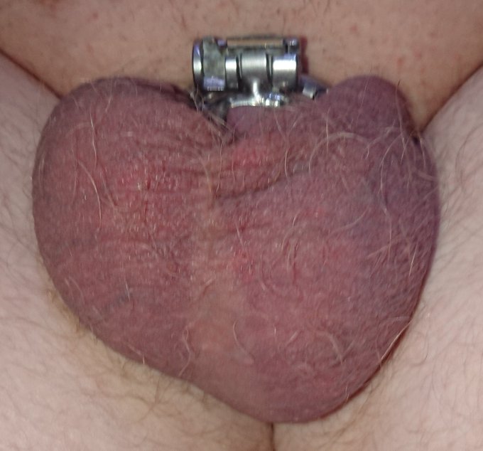 My cocklet is almost entirely covered by my balls now. 😂 #chastity #bicurious #balls #chastitycage #blueballs<a href="/tag/femdom"class="tags"><span>#femdom</span></a><a href="/tag/balls"class="tags"><span>#balls</span></a><a href="/tag/cock"class="tags"><span>#cock</span></a><a href="/tag/denial"class="tags"><span>#denial</span></a><a href="/tag/sissy"class="tags"><span>#sissy</span></a><a href="/tag/blueballs"class="tags"><span>#blueballs</span></a>