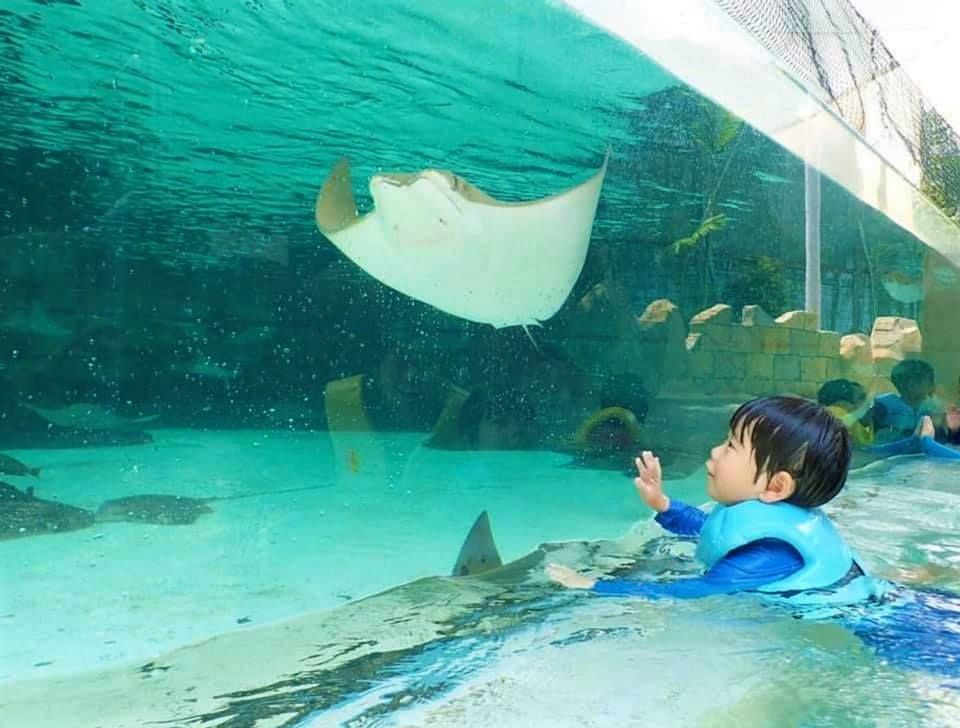 Liburan ini, bersantai di Adventure River sambil bertemu dengan ikan pari dari jarak dekat bersama si kecil di Adventure Cove Waterpark. buff.ly/2UqDZ1G

#RWSmoments
Foto: IG/<a href="/y/">y</a>.neuilly