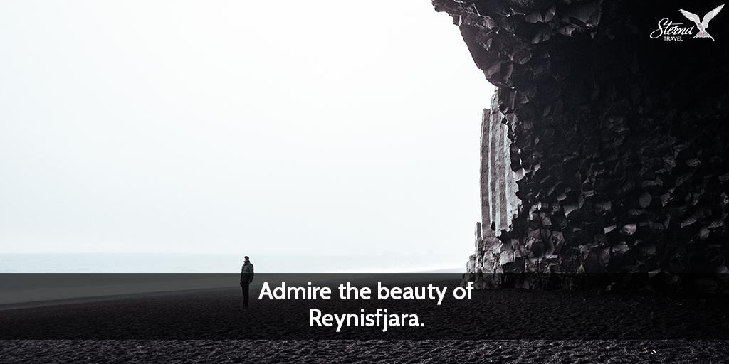 SternaTravel's tweet photo. The unparalleled beauty of the South Coast certainly lives up to the hype! 💫 Here, you find almost everything. From majestic waterfalls &amp; the mesmerising black sand beach. Plan your fully-guided tour &amp; see the best parts of the South Coast: https://t.co/dXhErOCkIP 
#sternatravel https://t.co/MCabrPVxYM