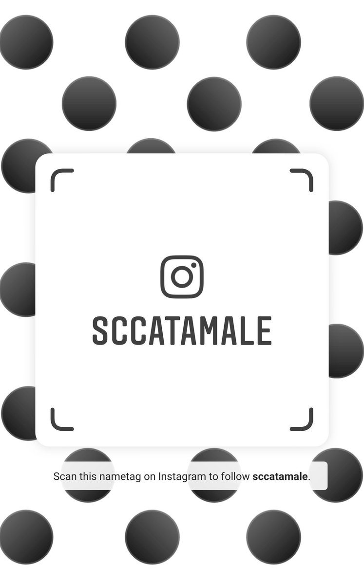sccatamale tweet media