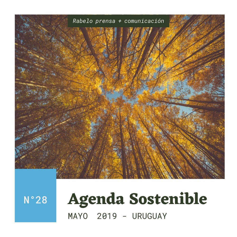 rabelo_uy's tweet photo. Compartimos la Edición nro. 28 de la AGENDA SOSTENIBLE con diversas propuestas y actividades para disfrutar durante los próximos quince días ➡ https://t.co/eBAO3caGHw 🌎🌱♻️🔅💦 Si les gustó los invitamos a replicarla!

#Agendasostenibleuy #sustentabilidad @SostenibleUy https://t.co/4ntv9vL41Y