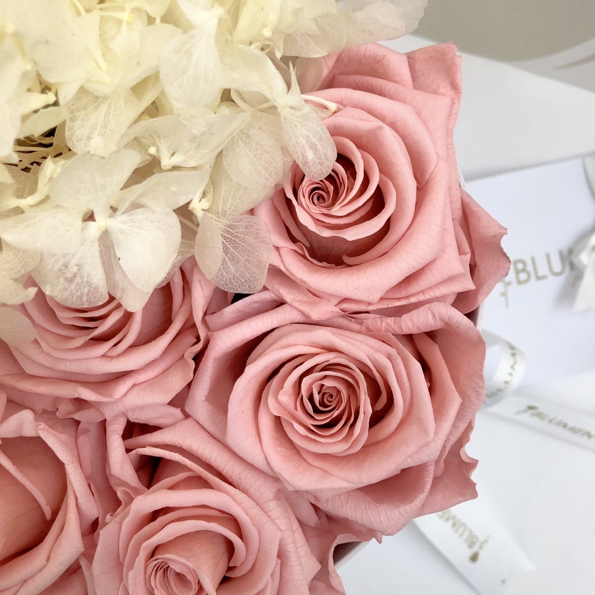 blumenecuador's tweet photo. Mamá es el ser más dulce ahora puedes alegrar su día con un hermoso detalle de BLUMEN 💖.
Contáctanos...
📱WhatsApp 0990061071 📱.
❗️Vive la Experiencia BLUMEN‼️.
#flores #florespreservadas #sunflowers #girasoles #mothersday #diadelamadre #mamá #hortensias #handmade #BLUMENbox https://t.co/qHVnfwUjsw