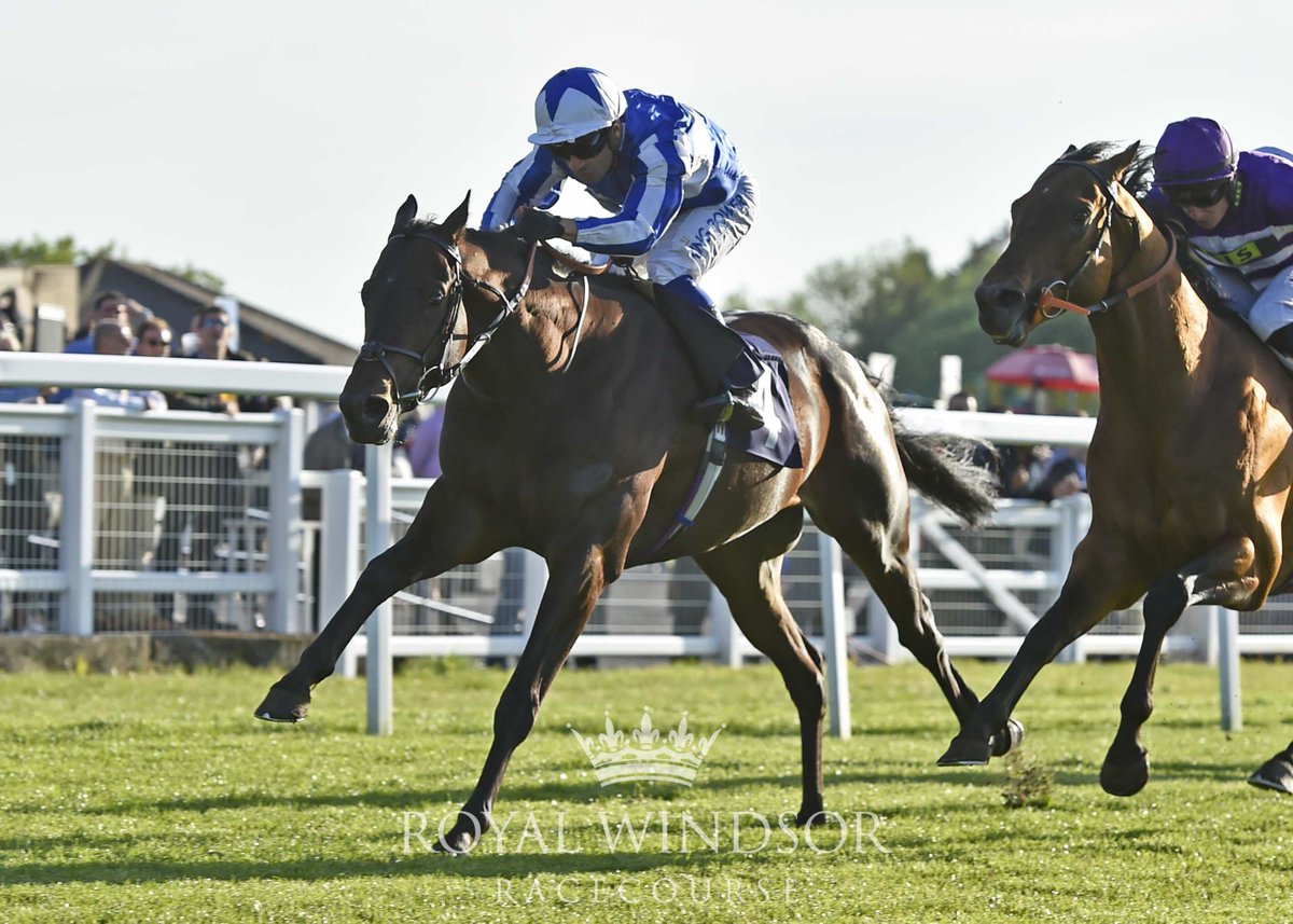 WindsorRaces's tweet image. A great result for BYE BYE HONG KONG in our 6.50 Class 1 Listed race this evening for #AndrewBalding and @SilvDSousa! 🏇🙌 #WindsorRaces #MondayNightRacing