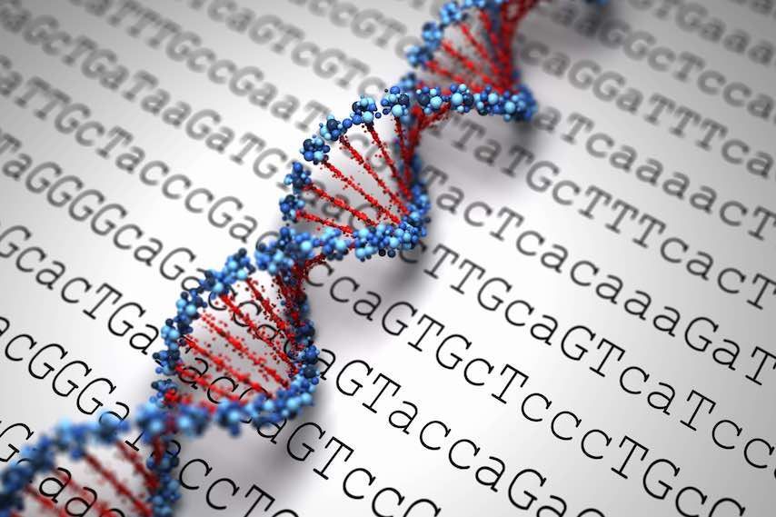 keepmeprime's tweet photo. Genomics-Based Personalized Medicine: Getting StartedGenomics-based personalized medicine is a powerful tool not only for disease prevention, diagnosis, and treatment but also for encouraging healthy behavior.https://t.co/IZHpODWguP https://t.co/sleB1ratsn