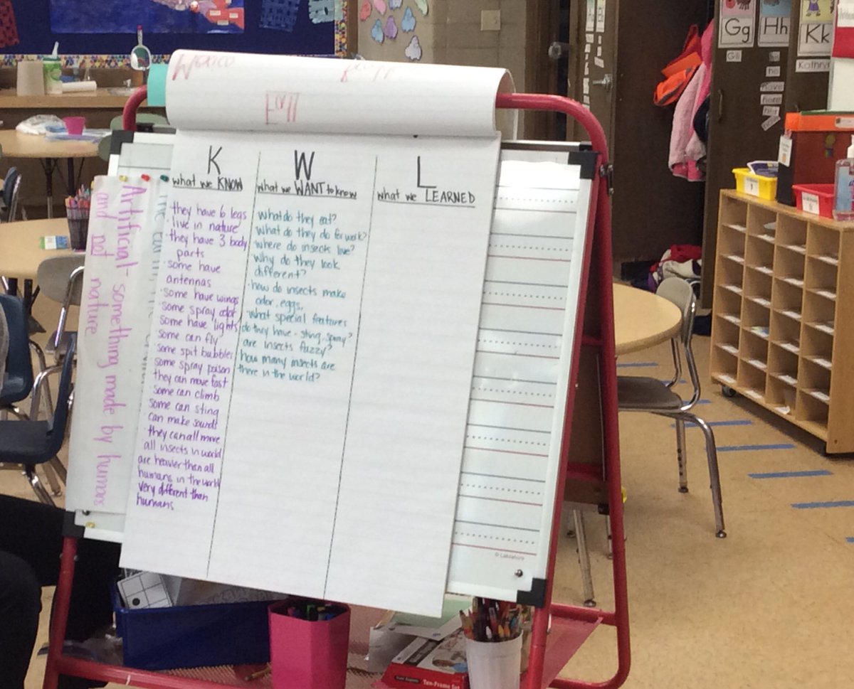 We’re activating our background knowledge on insects! 🐝🦋🐜