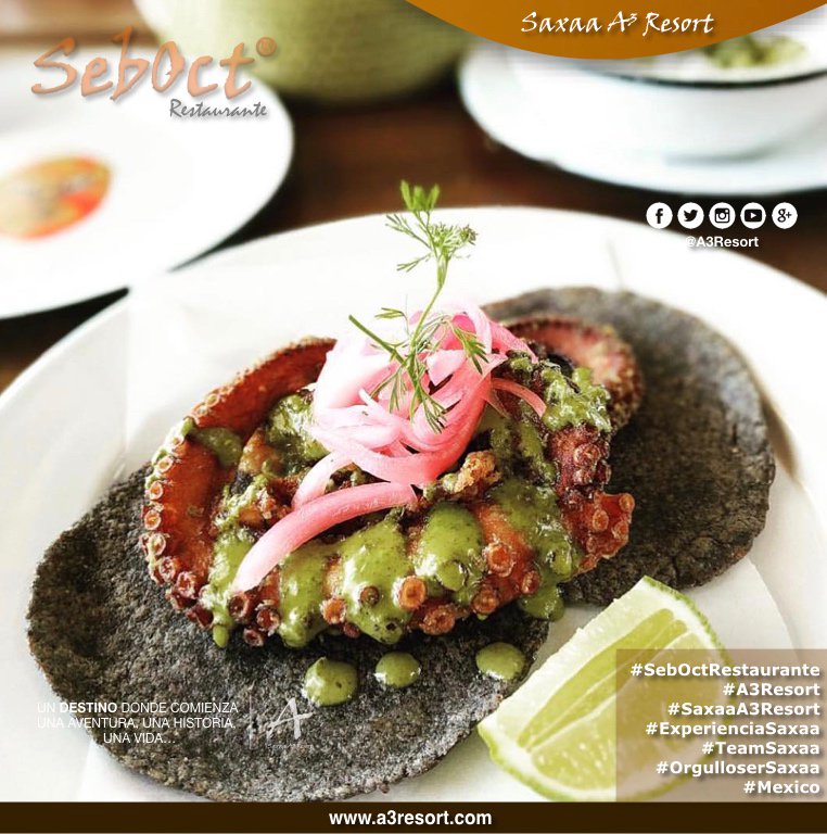 SeboctR's tweet photo. #SebOctRestaurante #A3Resort #SaxaaA3Resort 🇲🇽 #TeamSaxaa #OrgulloSerSaxaa #GrupoSaxaa #Bar #ExperienciaSaxaa #follobackinstantly #SiguemeYTeSigoAlInstante #siguemeytesigo #SiguemeYTeSigoDeVuelta #folloback #FolloMe #follo4follo #FolloForFolloBack #sigueme #SiguemeYTeSigoCumplo https://t.co/gSfaBfUCPf