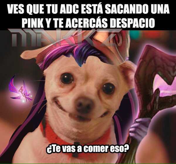 makkzlas's tweet photo. Etiqueten a su amigx support😂
.
.
#LeagueofLegends #pinkward https://t.co/AXukKfQ5e1