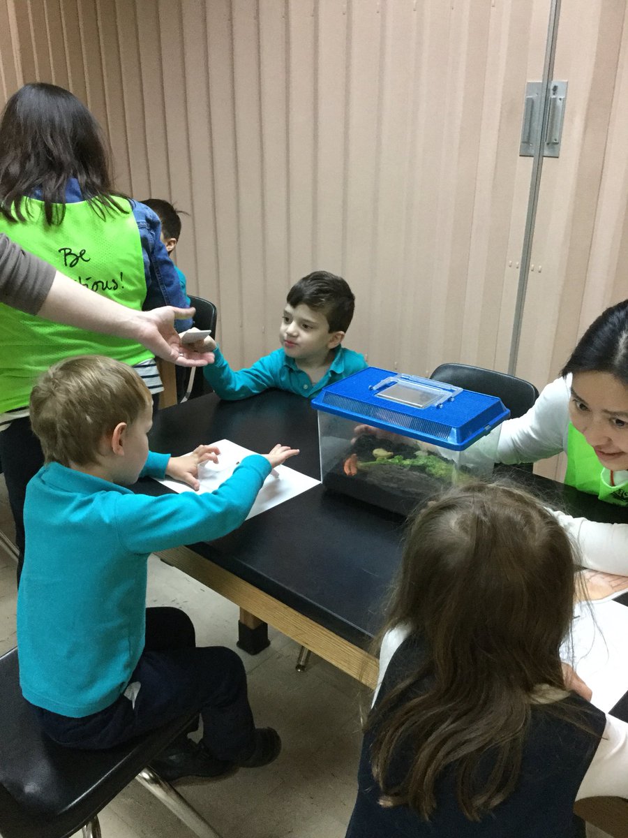 The #friendlyfoxes had a wonderful time exploring insects and their habitats @NatureMuseum #handsonlearing @The_IEYC #enquiring #brilliantbugball