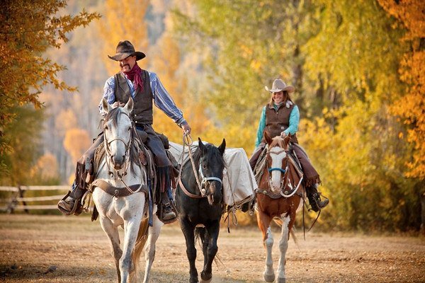 Goosewing Ranch tweet media